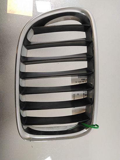 Grill / gitter BMW X1 (E84)