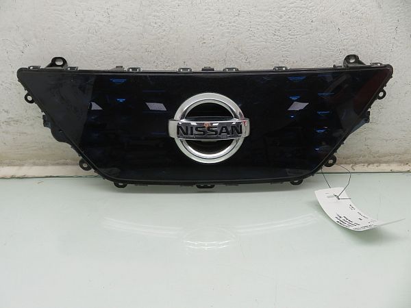 Grill / gitter NISSAN LEAF (ZE1_)