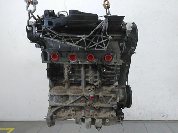 Motor AUDI A6 Avant (4F5, C6)