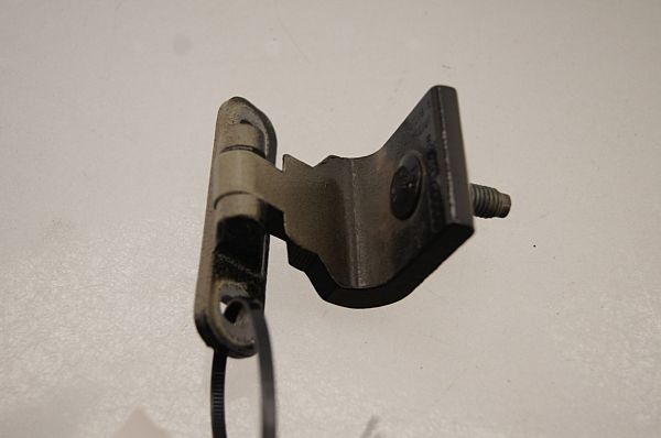 Bagklapshængsel AUDI E-TRON (GEN_)