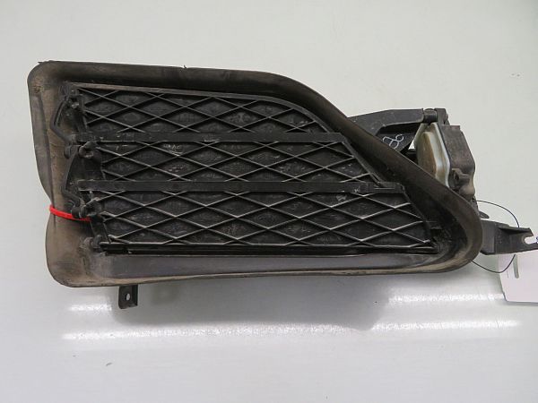 Kølergitter TESLA MODEL S (5YJS)