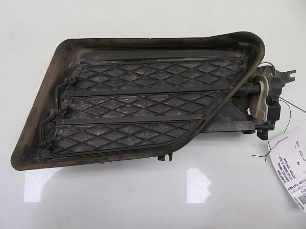 Kølergitter TESLA MODEL S (5YJS)