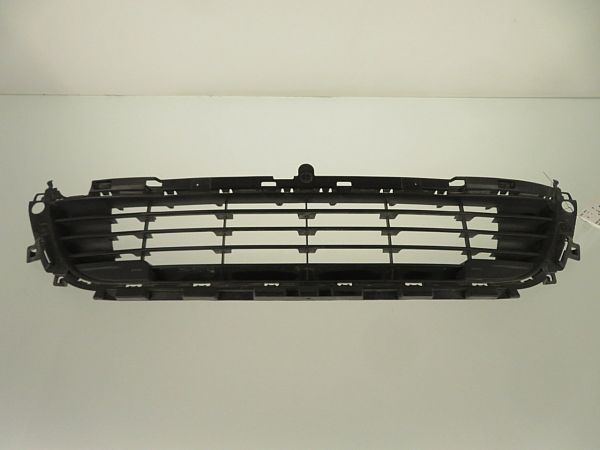 Kølergitter CITROËN C4 II (B7)