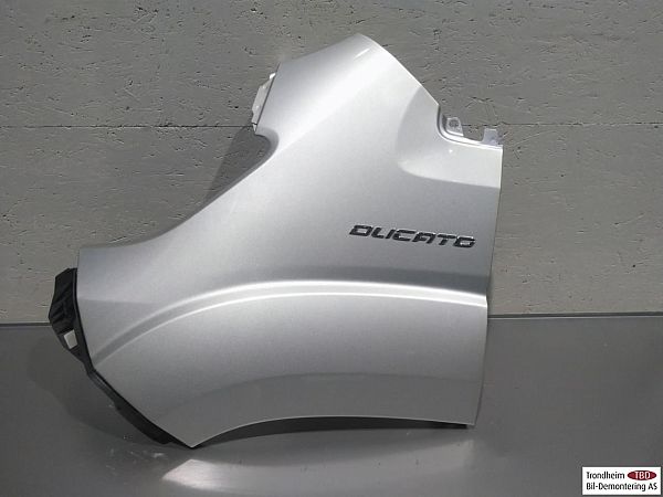 Forskærm venstre FIAT DUCATO Platform/Chassis (250_, 290_)