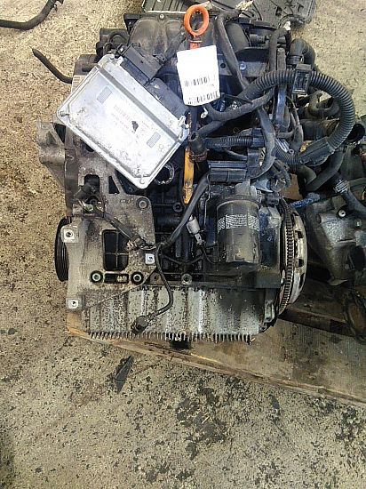 Motor