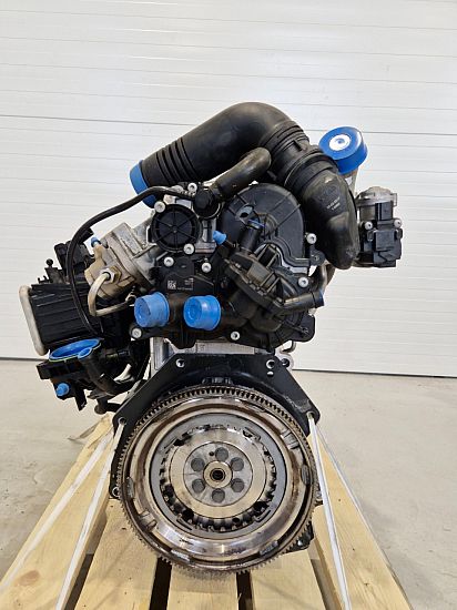 Motor