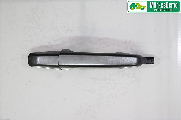 Handle - exterior LAND ROVER DISCOVERY SPORT (L550)