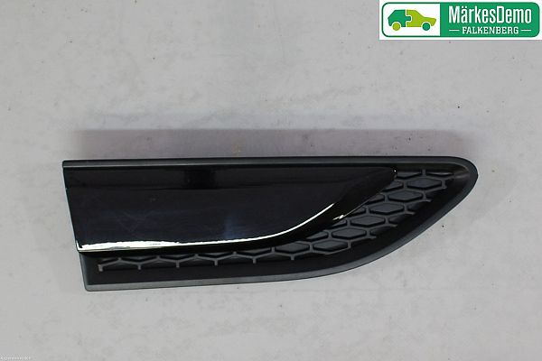 Trim molding