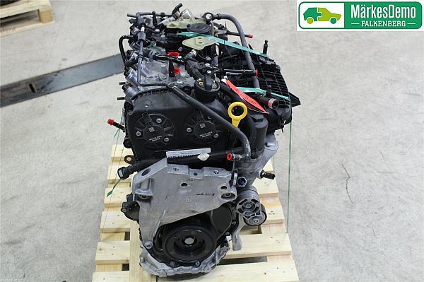 Engine AUDI Q3 Sportback (F3N)