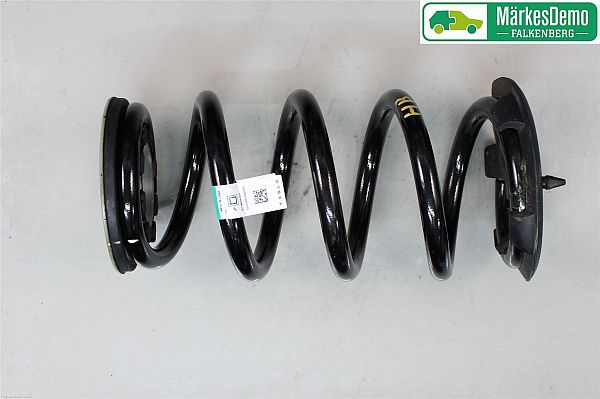 Rear spring - coil TESLA MODEL Y (5YJY)