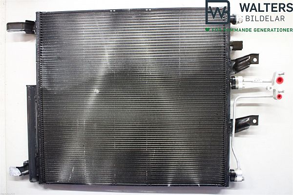 Varmeelement / veksler RAM 1500 Standard Cab Pickup (DS)