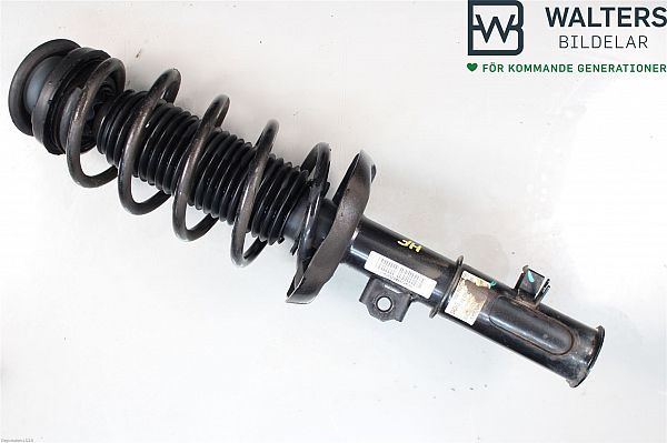 Federbein vorn MG MARVEL R