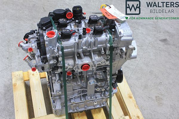 Motor