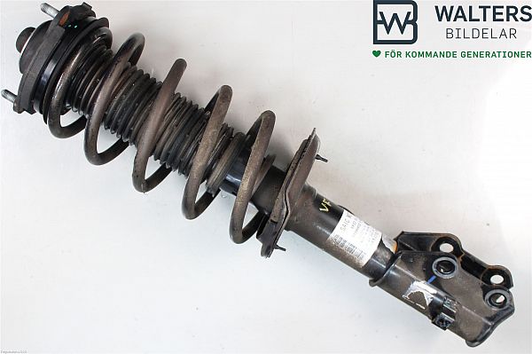 Federbein vorn MG MG 5 Estate
