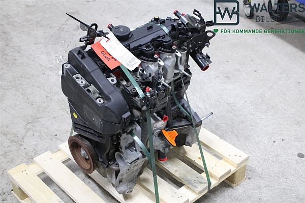 Motor RENAULT MEGANE III Hatchback (BZ0/1_, B3_)