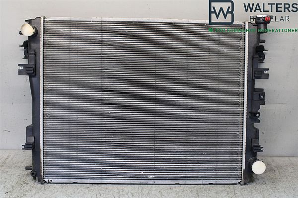 Radiator RAM 1500 Standard Cab Pickup (DS)