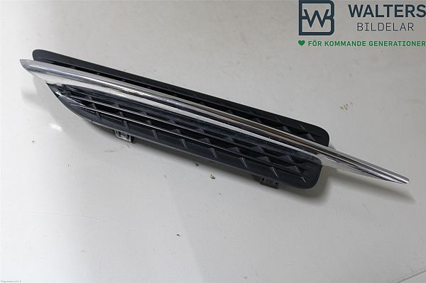 Fender grille