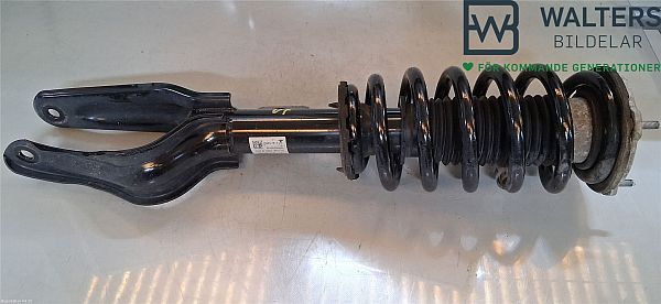 Federbein vorn TESLA MODEL Y (5YJY)