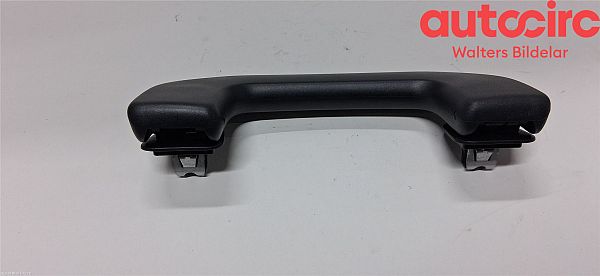 Roof grab handles