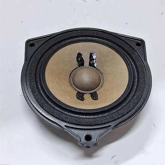 Panel speaker