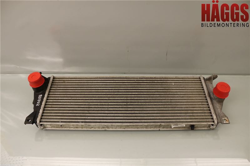 Heating element LAND ROVER DISCOVERY Mk II (L318)