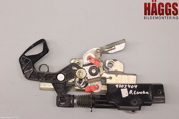 Verrouillage central DODGE RAM 1500 Pickup (DJ, DS)