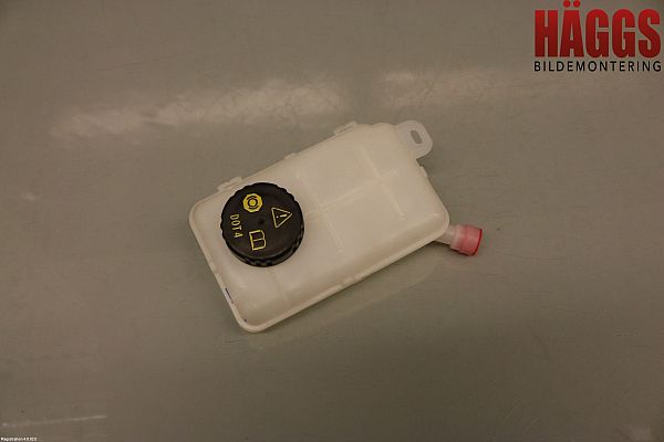 Brake liquid container RENAULT TRAFIC III Box (FG_)