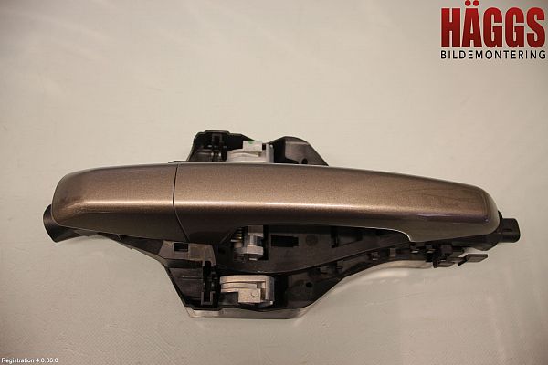 Handle - exterior LAND ROVER DISCOVERY SPORT (L550)