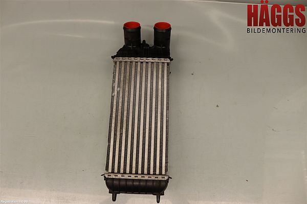 Heating element PEUGEOT 2008 I (CU_)