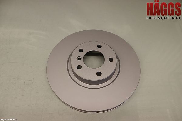Bremsscheibe BMW X6 (F16, F86)