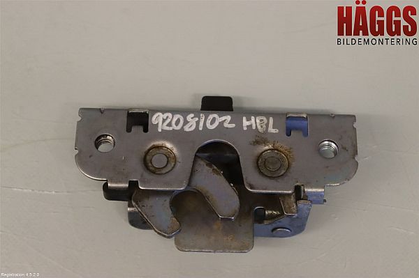 Zentralverriegelung DODGE RAM 1500 Pickup (DJ, DS)