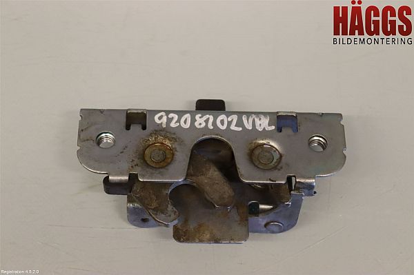 Zentralverriegelung DODGE RAM 1500 Pickup (DJ, DS)