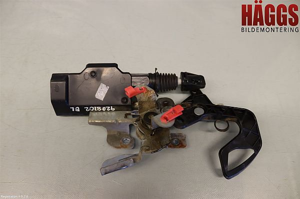 Zentralverriegelung DODGE RAM 1500 Pickup (DJ, DS)