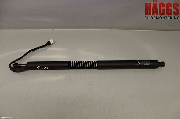 Heckklappe steuergerät BMW 3 Gran Turismo (F34)