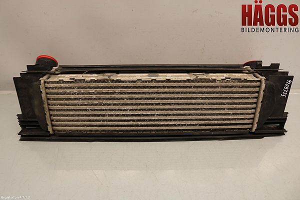 Luchtkoeling bagage BMW 1 (F20)