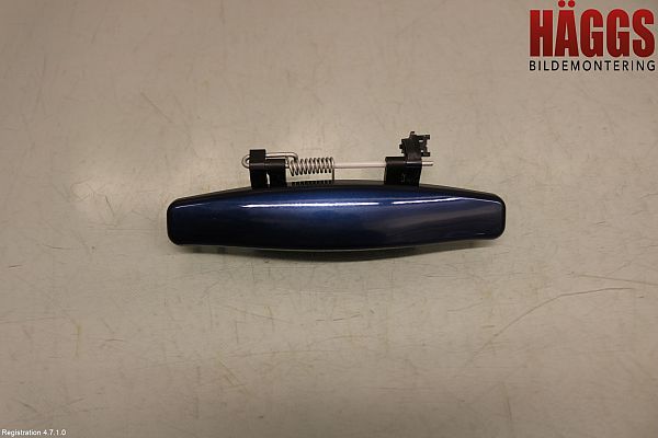 Poignée exterieur DACIA DUSTER (HS_)