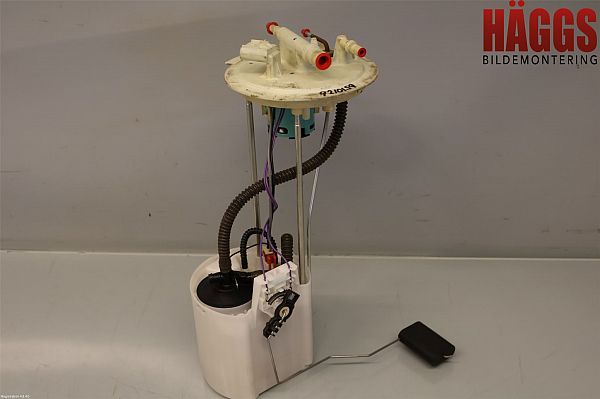 Kraftstoffpumpe FORD USA F-150 Extended Cab Pickup