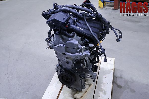 Motor NISSAN JUKE (F15)
