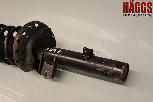 Federbein vorn LAND ROVER DISCOVERY SPORT (L550)
