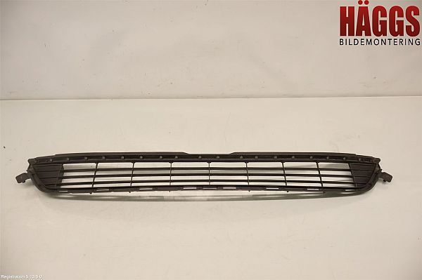 Grill TOYOTA RAV 4 IV (_A4_)