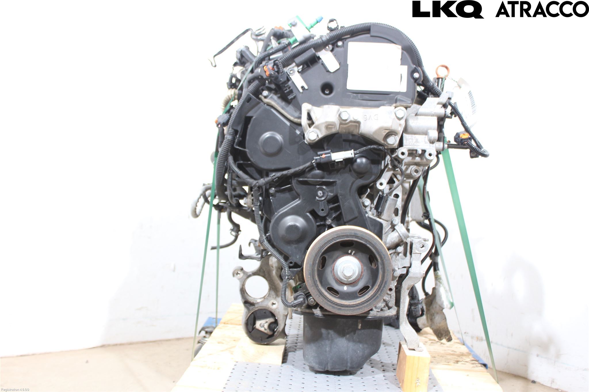 PRIMO　P-80Ⅱ Courroie de variateur vsp Châtenet - 2979