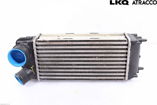Ladeluftkühler FORD FIESTA VI (CB1, CCN)