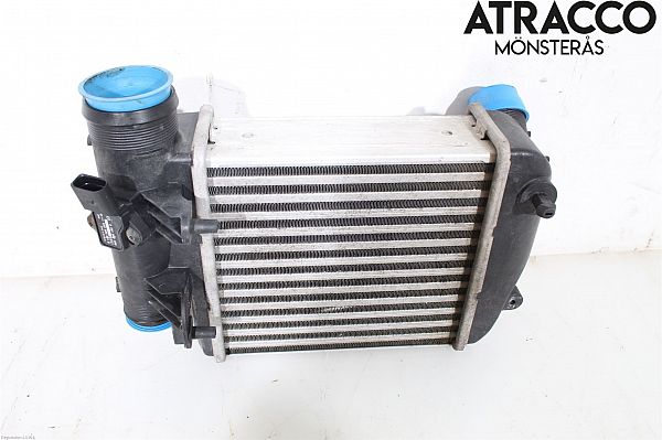 Turbo køleblæser AUDI A6 Allroad (4FH, C6)