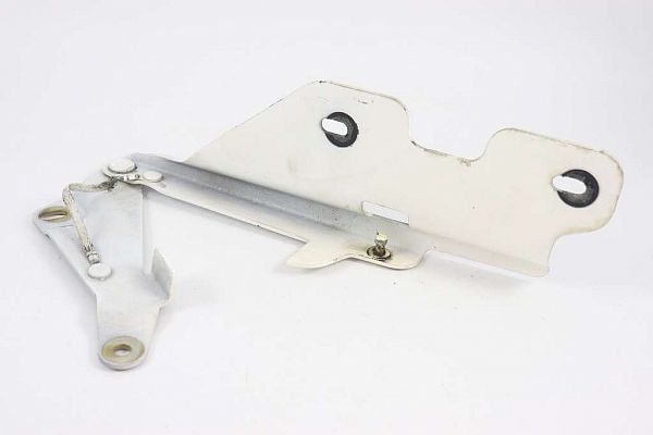 Hub hinges LINCOLN TOWN CAR III