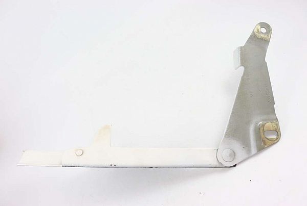Hub hinges LINCOLN TOWN CAR III