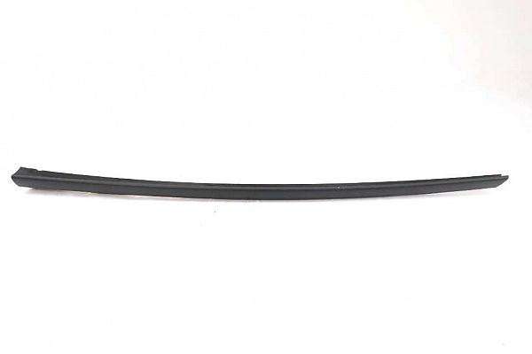 Windshield trim