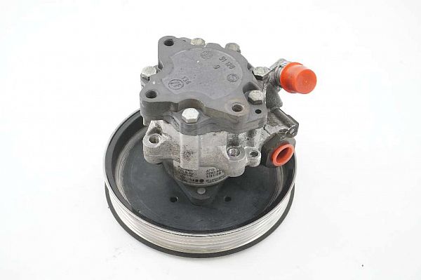 Servopumpe AUDI A6 Avant (4F5, C6)