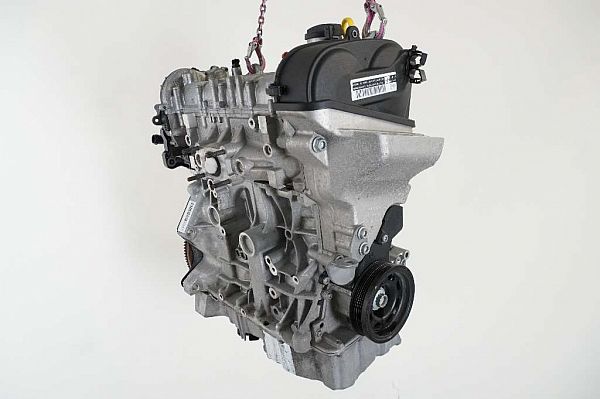 Motor SKODA FABIA III Estate (NJ5)