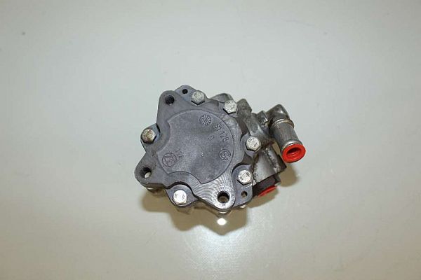 Servopumpe AUDI A6 Avant (4F5, C6)