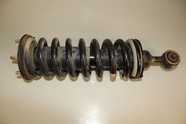 Federbein vorn NISSAN NP300 NAVARA (D40)